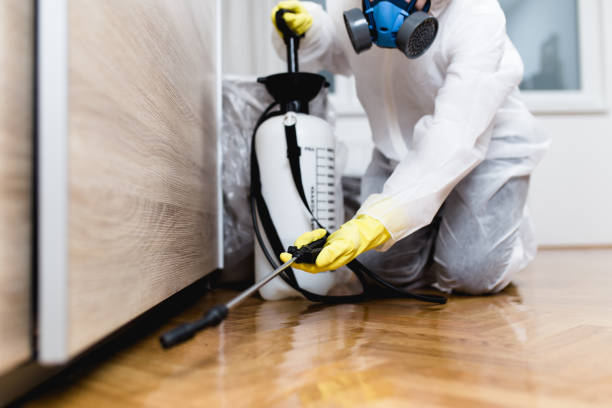Best Insect Control  in Herscher, IL