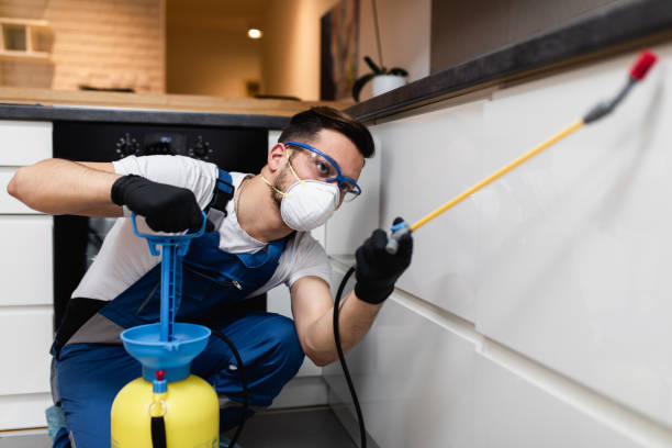 Best Mosquito Control Services  in Herscher, IL