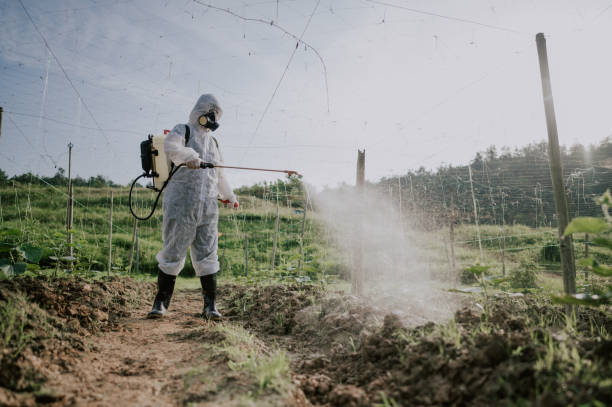 Best Affordable Pest Control Services  in Herscher, IL