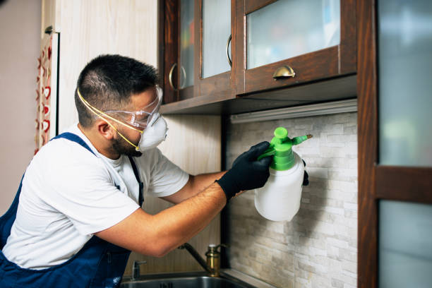 Best Mosquito Control Services  in Herscher, IL