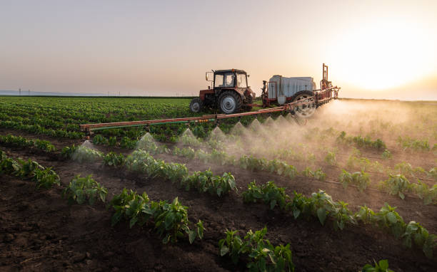 Best Wildlife Control Services  in Herscher, IL