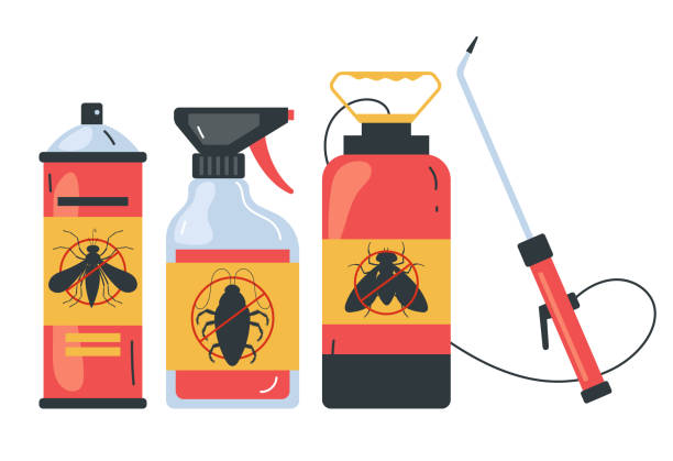 Best Spider Control Near Me  in Herscher, IL