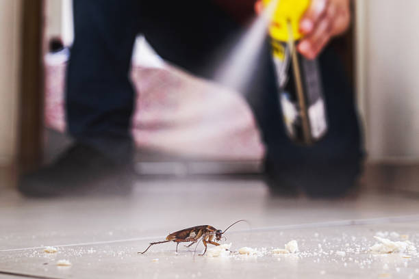 Best Pest Control Near Me  in Herscher, IL